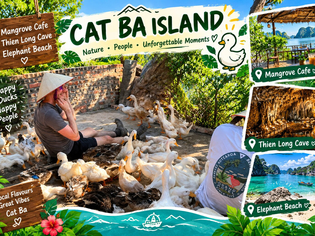 Cat Ba National Park-卡巴必去景点