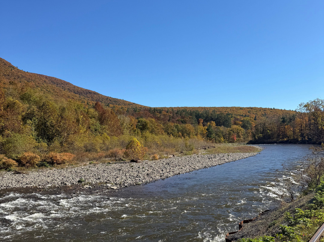 Rail Explorers Catskills Division-Phoenicia必去景点