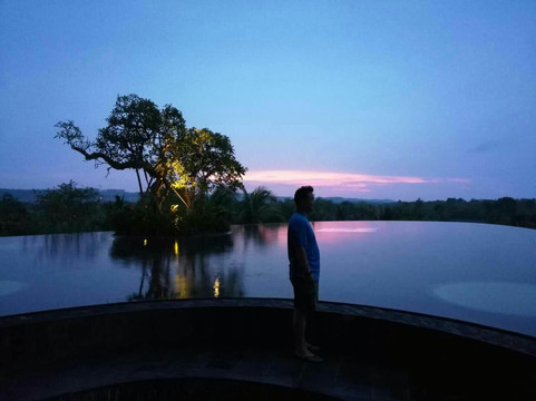 云山花鸟市场-上海市必去景点