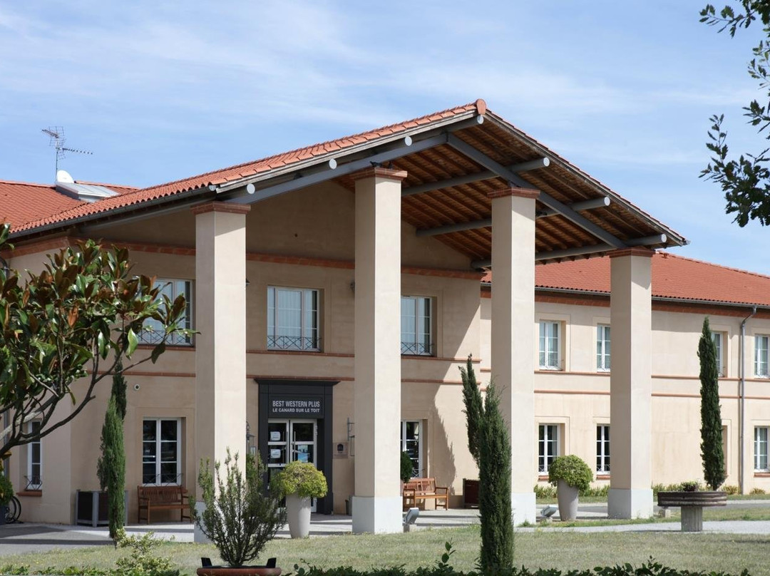 Best Western Plus Le Canard Sur Le Toit主图