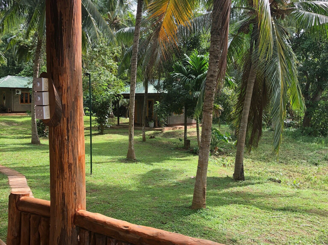 Yonan River Face Safari Resort