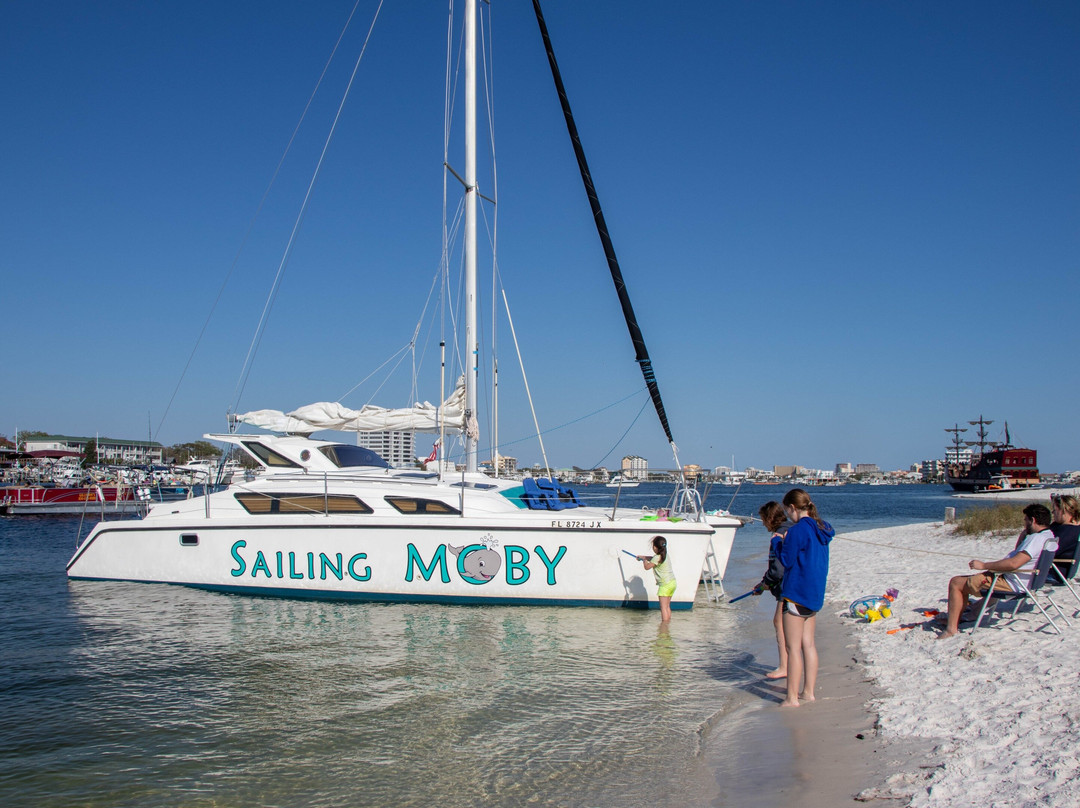 Sailing Moby Adventures景点图片