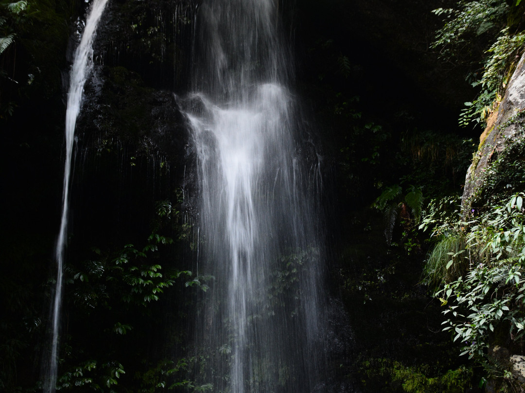 Jibhi Waterfall景点图片