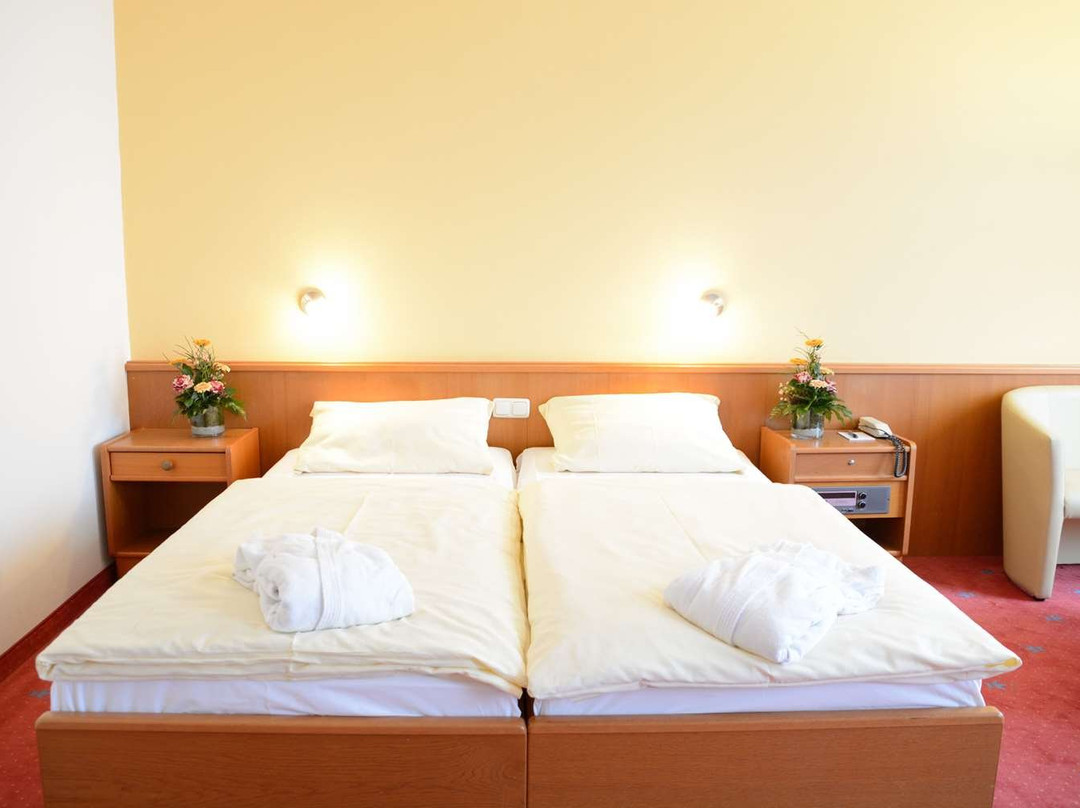 Avalon Hotelpark Koenigshof主图