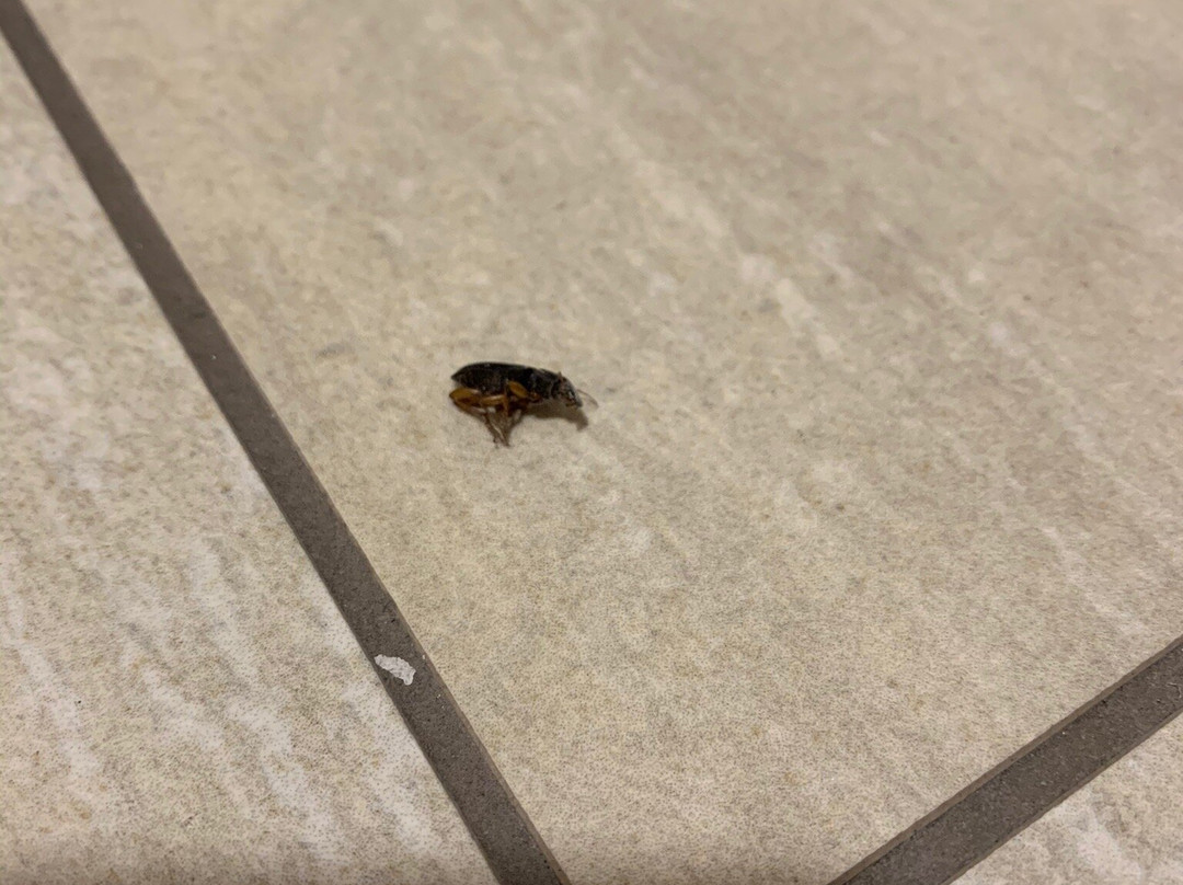 Holiday Inn Express Cedar Rapids (collins Rd) By IHG主图