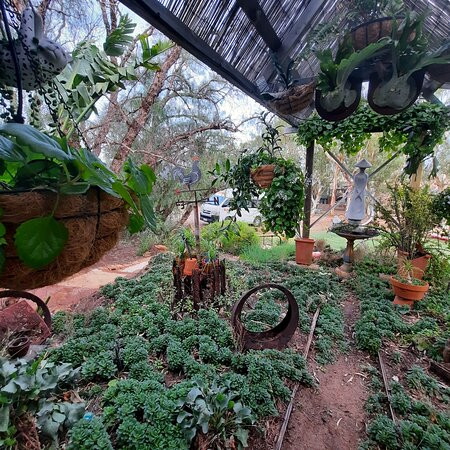 Gum Gully Bed & Breakfast主图