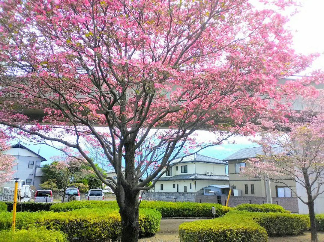 Izumi Pedestrian Path景点图片