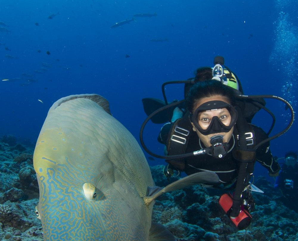 Dohna Dives-邦劳岛必去景点