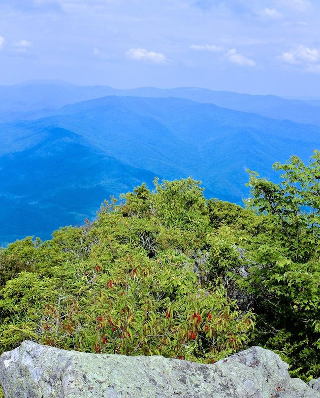 Mt Cammerer Fire Tower景点图片