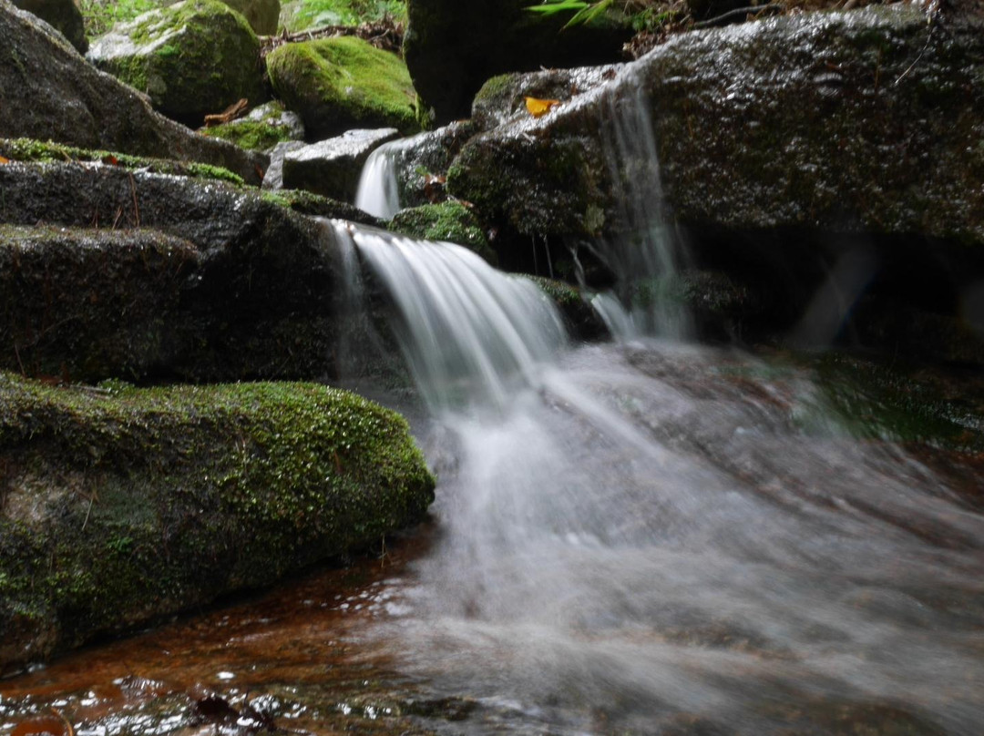 永州市旅游景点-Palgongsan Provincial Park