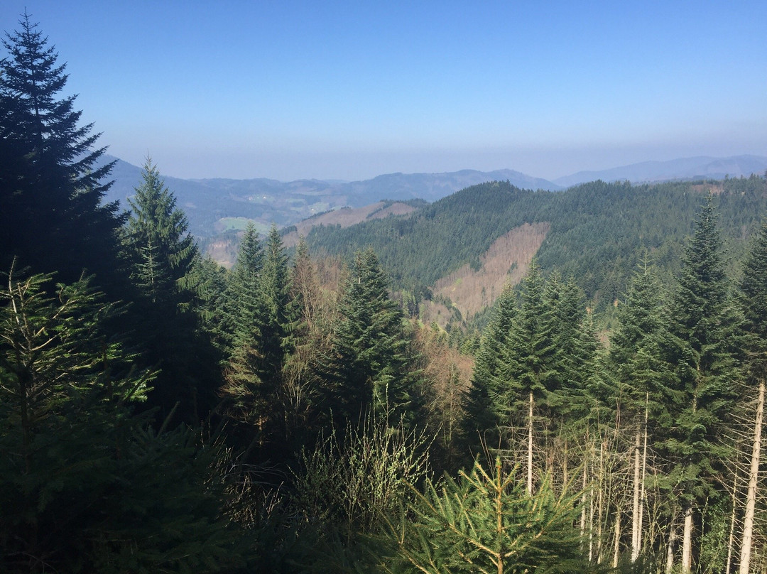 Genießerpfad - Peterstaler Schwarzwaldsteig-Bad Peterstal-Griesbach必去景点