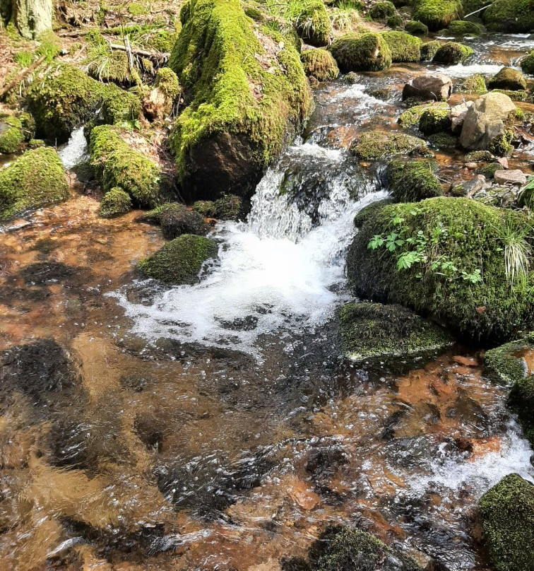 Cascade de la Serva-Natzwiller必去景点