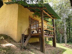 RPPN Ninho do Corvo-Prudentopolis必去景点