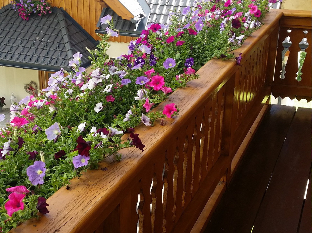 Grundlehnerhof主图