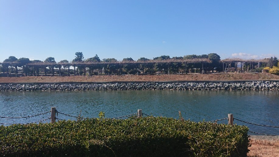 滨松花卉公园-滨松市必去景点