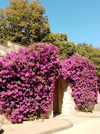 Giardino Scotto-比萨必去景点