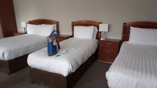 The Royal Hotel主图