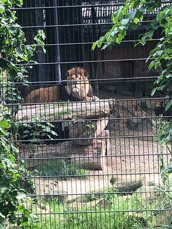Zoo Neuwied景点图片