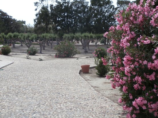 The Ancient Sanctuary of Dionysus at Yria-纳克索斯必去景点