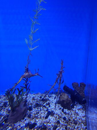 Albuquerque Biological Park-阿尔伯克基必去景点