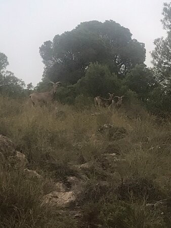 Cejo de los Enamorados-洛尔卡必去景点