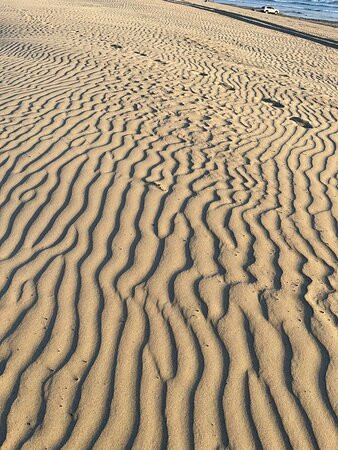Oceano Dunes State Vehicular Recreation Area景点图片