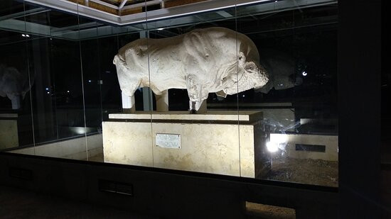 Bull of Oreoi-Oreoi必去景点