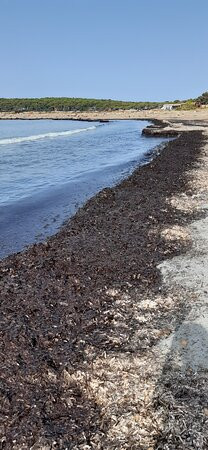 Bravo Porto Pino主图