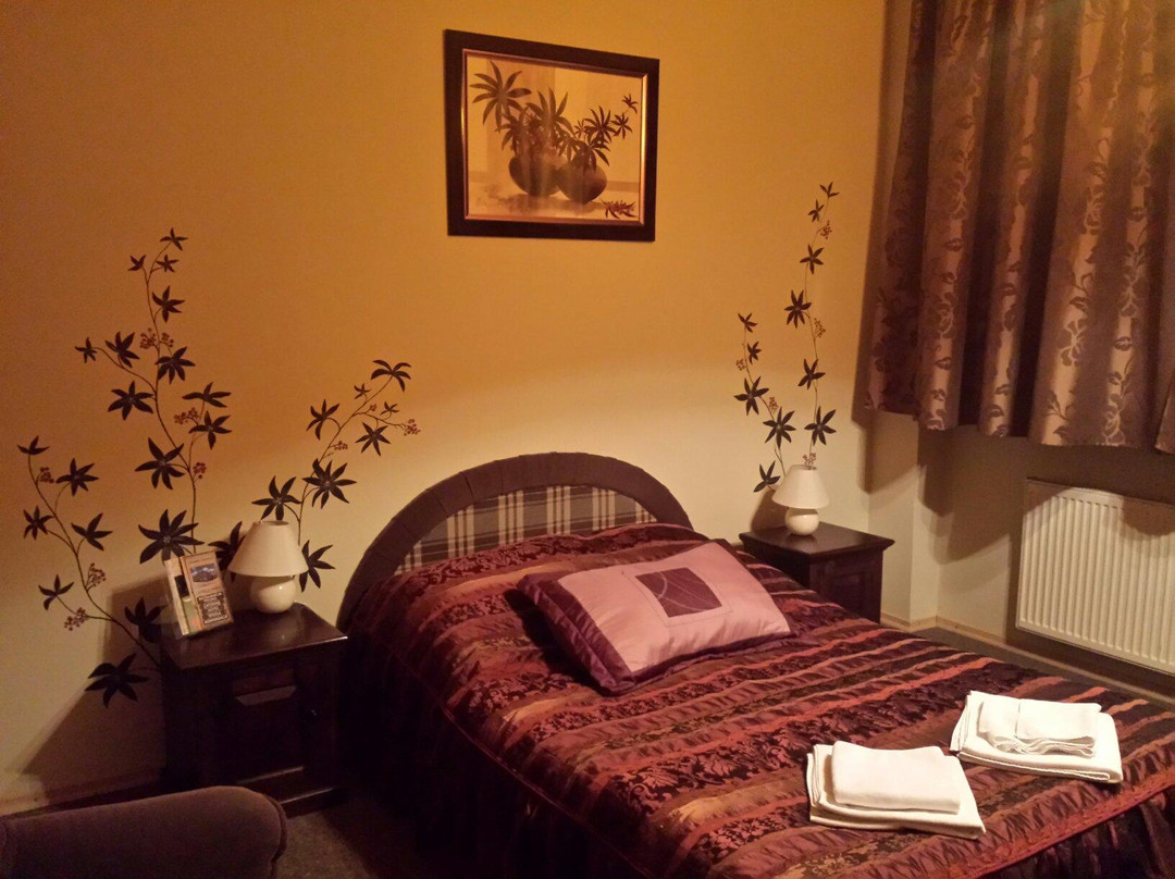 Hotelik Korona主图