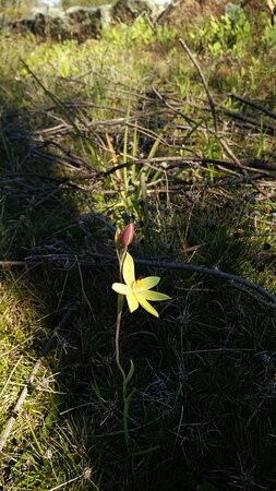 Christmas Rock Walk Trail-Wongan Hills必去景点