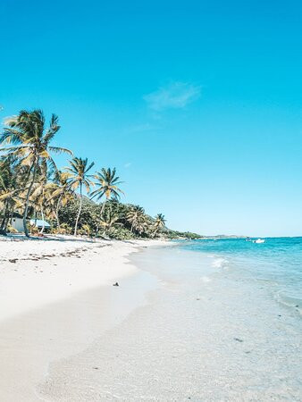 Plage du Souffleur-La Desirade必去景点