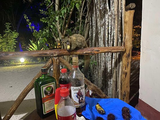 示巴大床间海滩小屋酒店-官方
