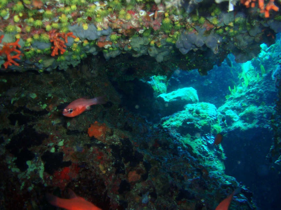 Gestione Mare Diving & Charter-锡拉库扎必去景点