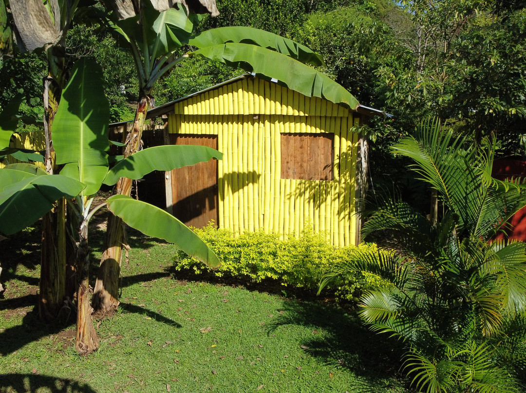 Cabañas Ixaya