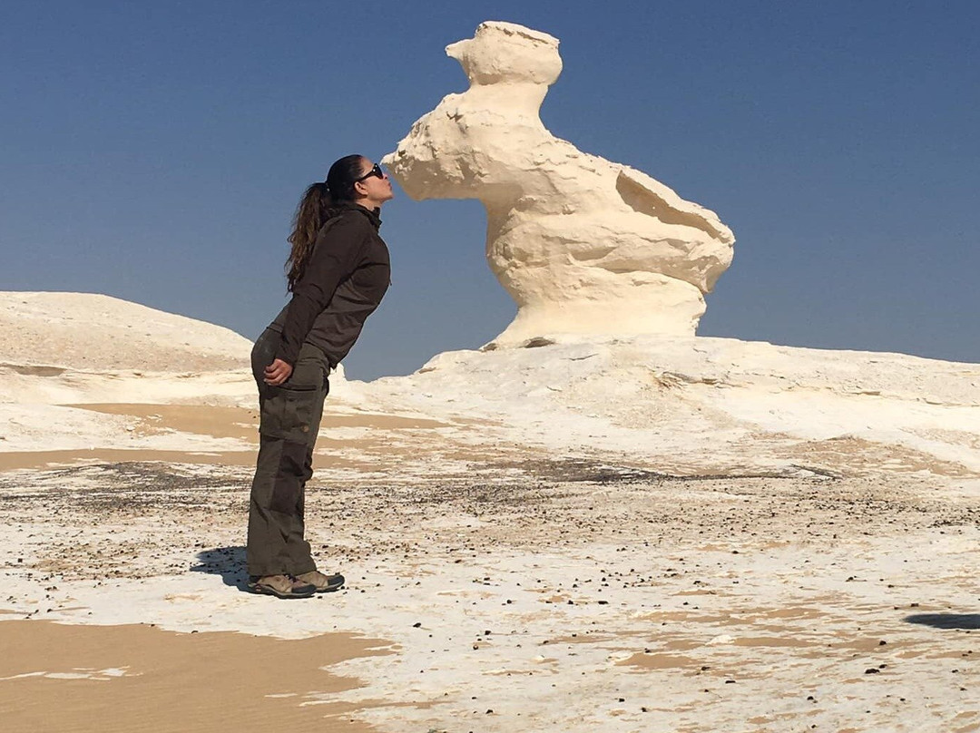 Emo Tours Egypt景点图片