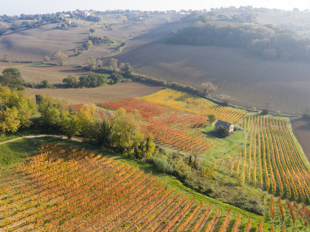 Vigna Degli Estensi