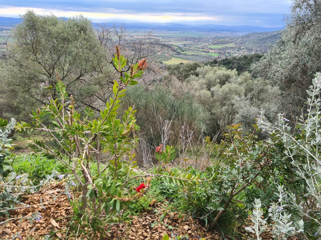 Orto De' Mandorli B&b