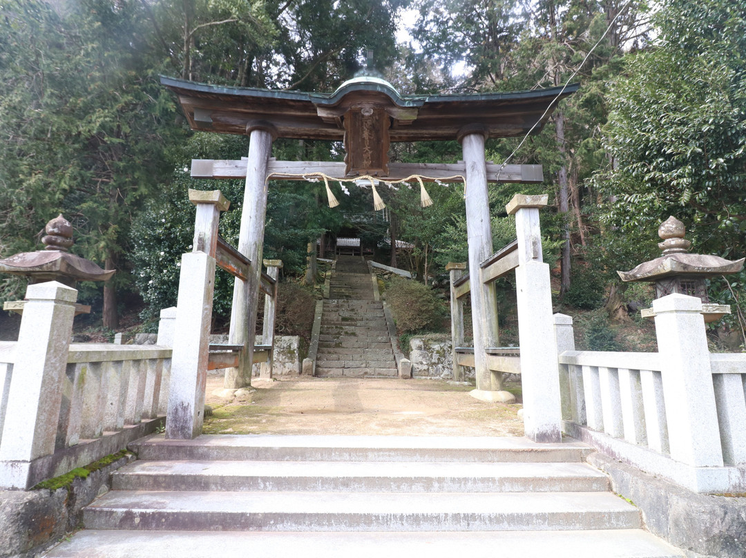 Kasuga Shrine景点图片