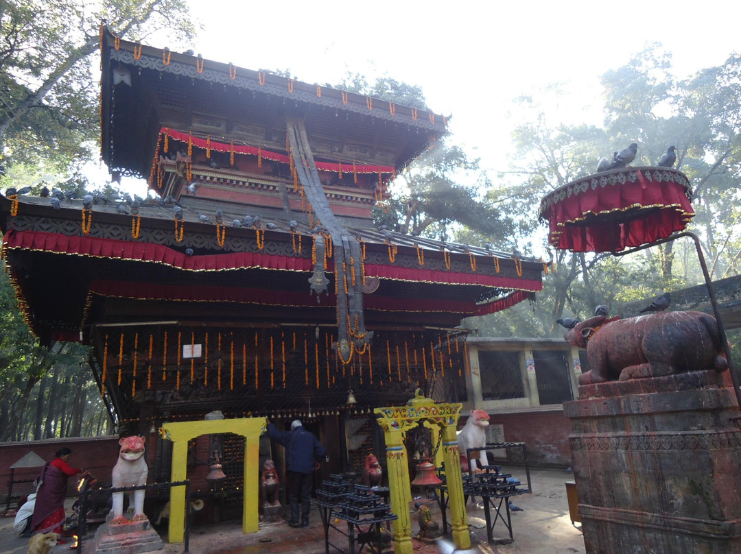 Bajrabahari Temple景点图片