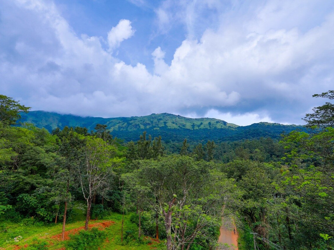 Dakshinakasi Guest House主图