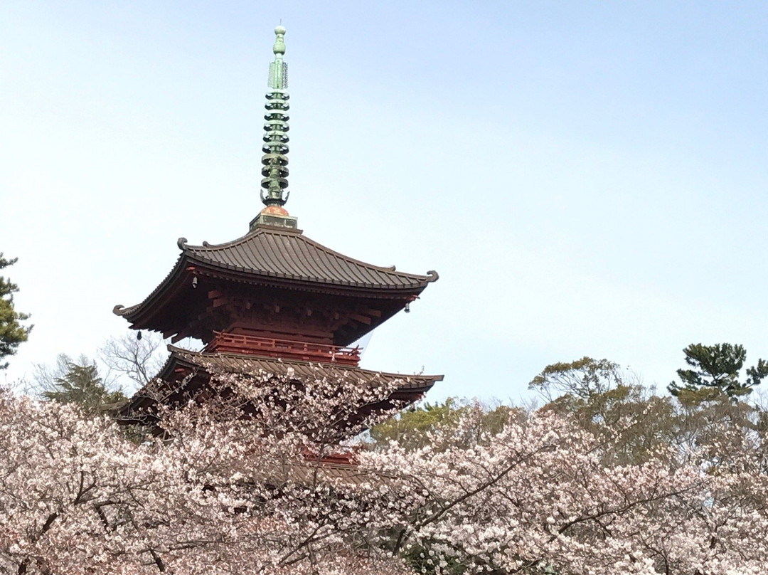 市川市旅游攻略图片