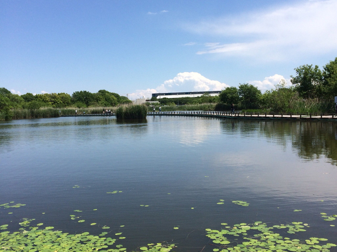2023年羽生市旅游攻略 8羽生市酒店/景点/门票/美食/自助游/自驾/自由行/游玩攻略 Tripadvisor猫途鹰