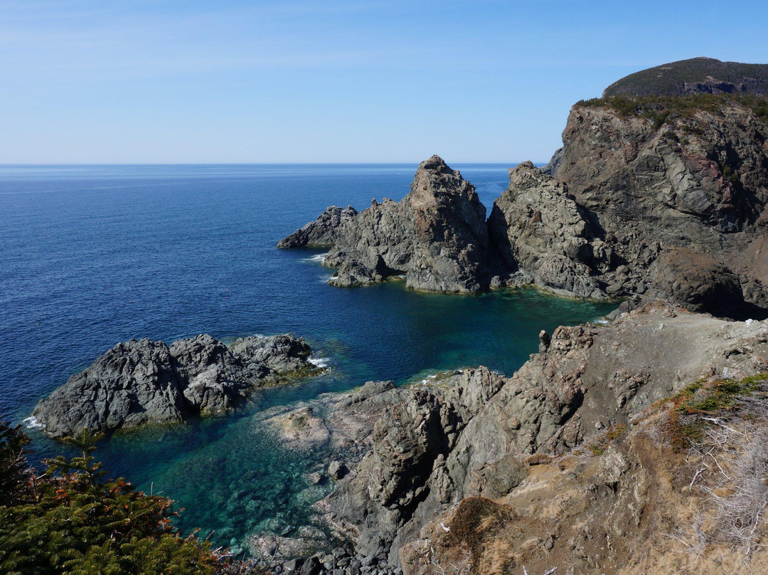 Bottle Cove Beach景点图片