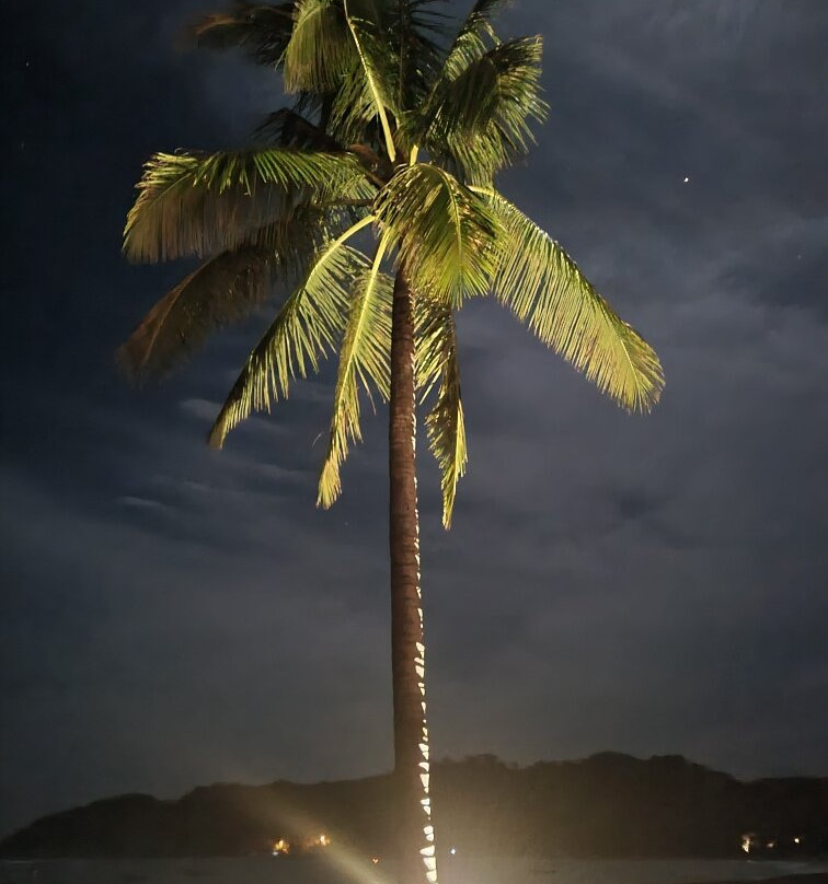 Sansara Surf & Yoga Resort主图