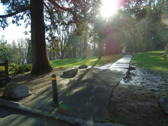 Redwood Park景点图片