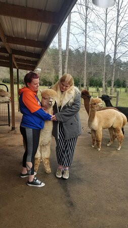 Cobb Creek Cabins主图