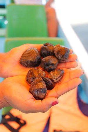 Los Manglares de Puerto Pizarro-Tumbes必去景点