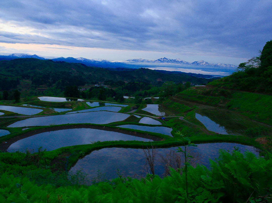 Yamakoshi Rice Terraces景点图片