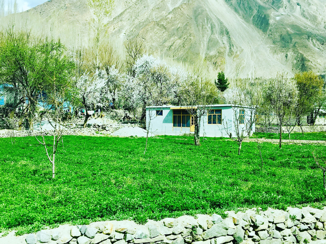 Naltar Valley旅游攻略图片