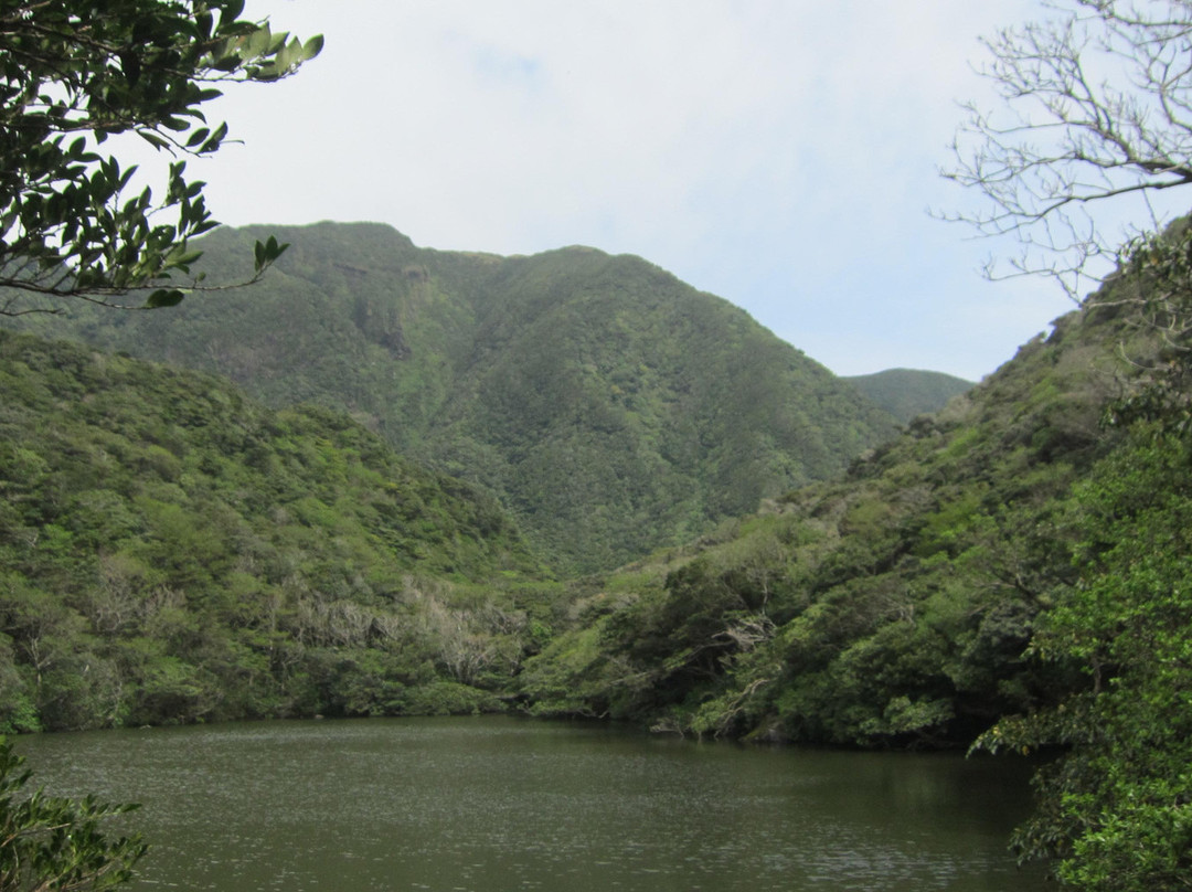 Miyogaike Pond景点图片